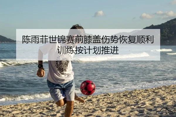 陈雨菲世锦赛前膝盖伤势恢复顺利 训练按计划推进